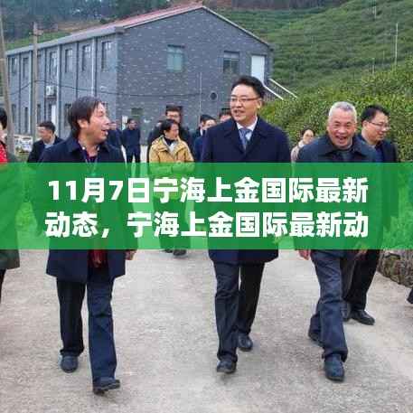 宁海上金国际最新动态解析(11月7日聚焦要点)