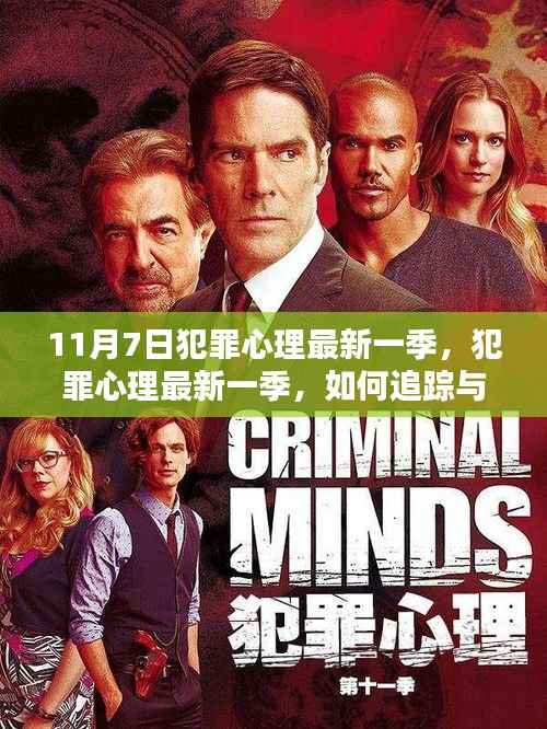 犯罪心理最新一季,追踪与解析犯罪心理的初学者与进阶指南(11月7日版)