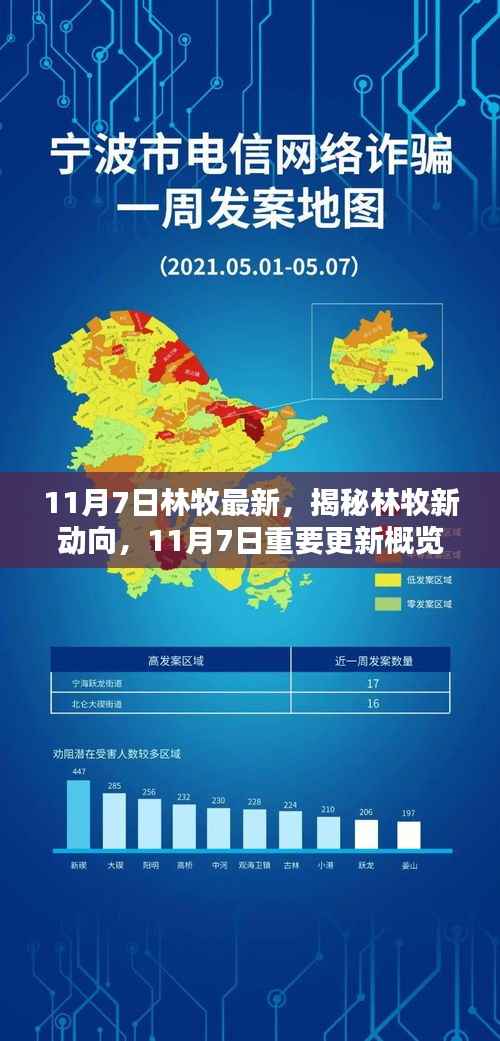 揭秘林牧最新动向,11月7日重要更新概览