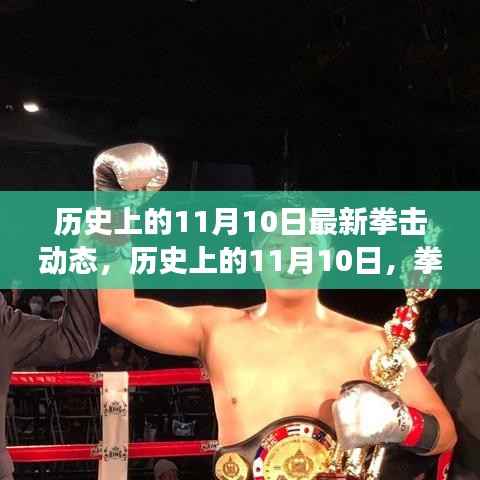 历史上的11月10日,拳击动态与自然之旅的双重舞台,探寻内心平静之旅