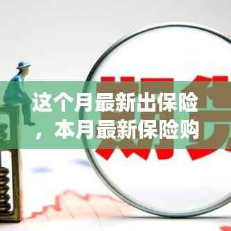 本月保险购买全攻略，从入门到投保的详细指南