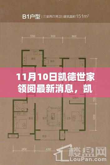 凯德世家最新动态解析,11月10日消息引发的深度思考
