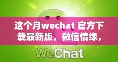 微信情缘，最新版下载与暖心日常体验
