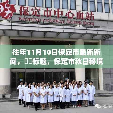 保定市秋日秘境,探索自然美景之旅,重拾内心的宁静与平和——最新新闻回顾(日期,往年11月10日)