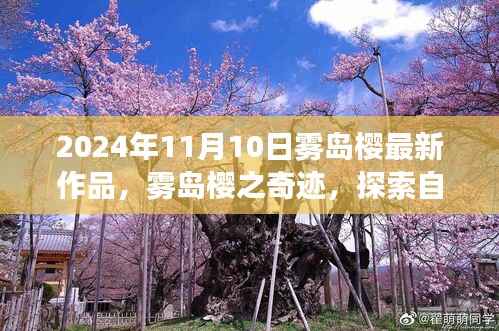 雾岛樱之奇迹,自然美景的心灵之旅(2024年最新作品)