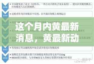 本月内黄领域掀起波澜，引领时代风潮，最新动态与消息速递