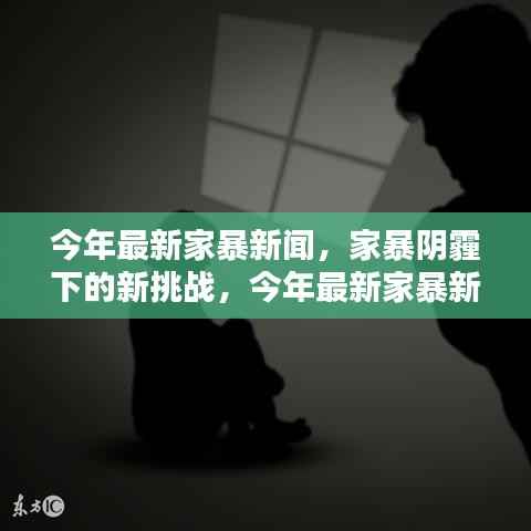 最新家暴新闻深度解析,面对家暴阴霾下的挑战