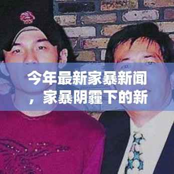 最新家暴新闻深度解析,面对家暴阴霾下的挑战