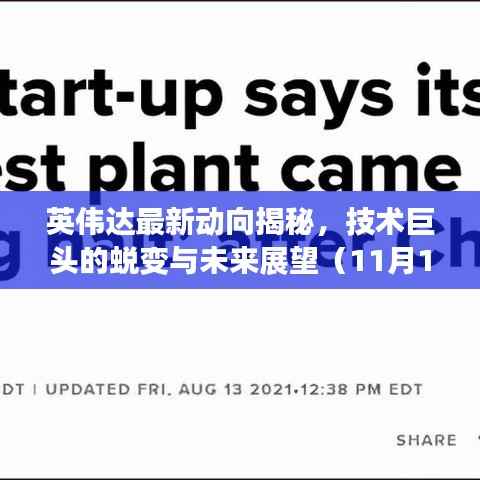 英伟达最新动向揭秘,技术巨头的蜕变与未来展望(11月13日更新)