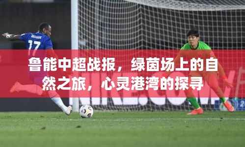 鲁能中超战报，绿茵场上的自然之旅，心灵港湾的探寻