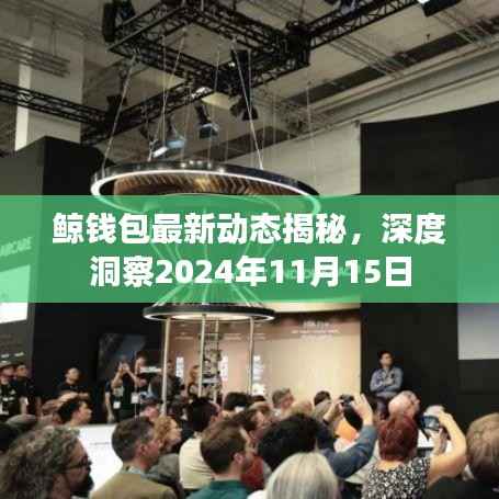 鲸钱包最新动态揭秘,深度洞察2024年11月15日