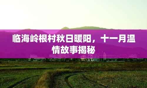 临海岭根村秋日暖阳,十一月温情故事揭秘