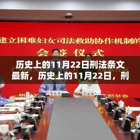 历史上的11月22日,刑法条文的新篇章与最新动态