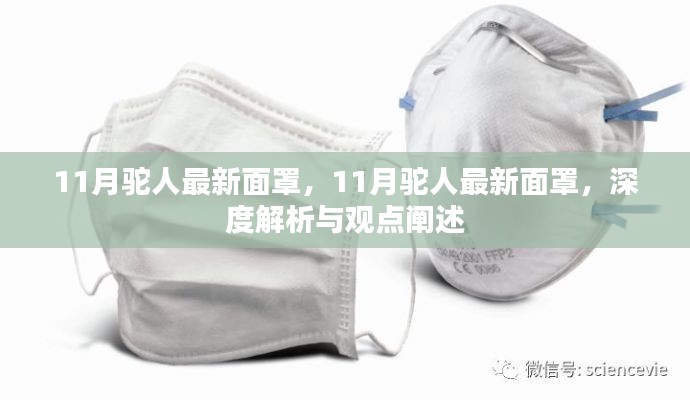 11月驼人最新面罩,深度解析与观点阐述