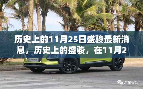 历史上的盛骏,最新消息回顾与影响探究(11月25日版)