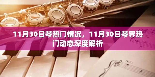 11月30日琴界热门动态深度解析,热门情况一览