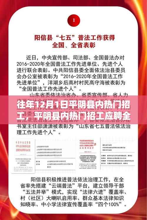 平阴县内热门招工信息详解与应聘全攻略,12月1日招工日活动概览