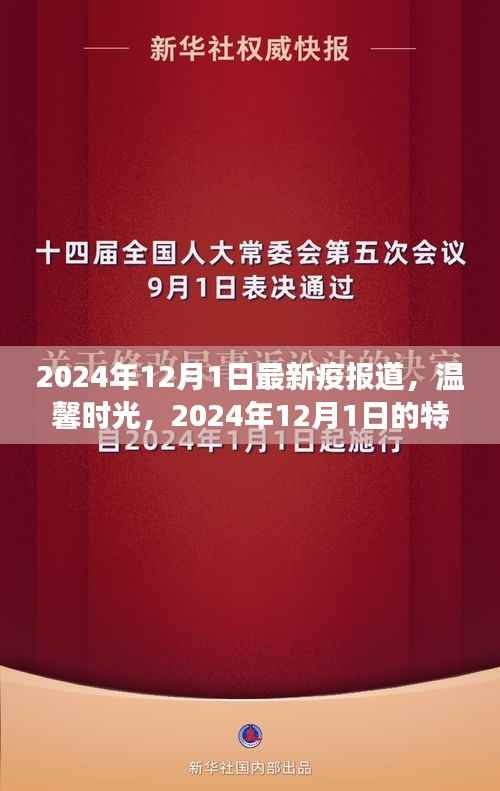 温馨时光,特殊疫情下的日常故事——2024年12月1日最新疫情报道