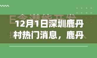 金石为开 第4页