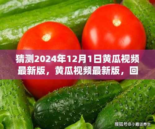 回顾与预测，黄瓜视频最新版的发展趋势及未来展望（2024年12月1日）