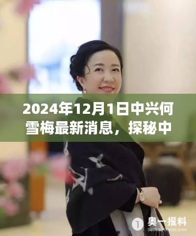 中兴何雪梅探秘与小巷美食天堂揭秘，最新消息背后的故事，2024年12月1日更新
