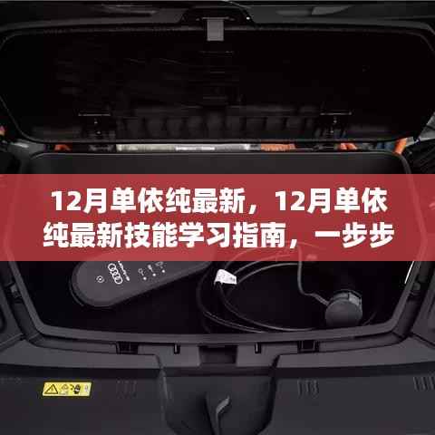 12月单依纯最新技能学习指南,一步步成为专家