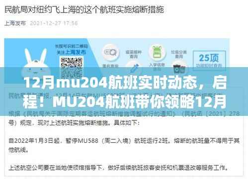 MU204航班,探寻十二月自然美景,启程心灵的平和之旅