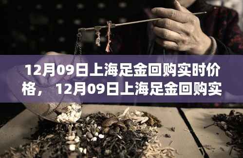 上海足金回购实时价格解析,黄金市场动态观察报告(12月09日)
