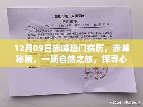 赤峰秘境,探寻心灵港湾的自然之旅,热门病历揭秘的宁静之地