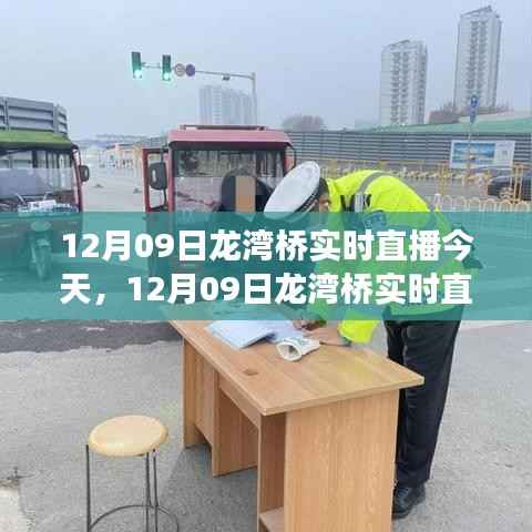 12月09日龙湾桥建设奇迹实时直播展现眼前