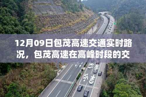 芳兰竟体 第3页