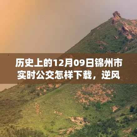 历史上的今天与锦州市实时公交下载之旅,逆风翱翔,教你如何下载实时公交APP