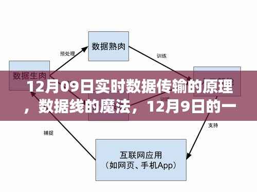 暖心数据之旅，揭秘实时数据传输原理与数据线的魔法