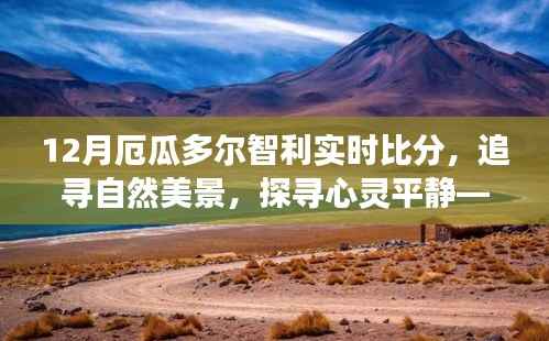 12月厄瓜多尔与智利足球对决及赛场外的自然美景心灵之旅