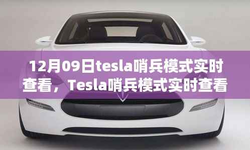 Tesla哨兵模式实时查看,利与弊的探讨