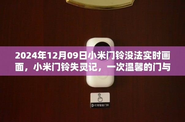 小米门铃失灵记,技术与情感的碰撞挑战实时画面功能