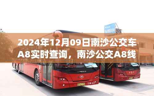 南沙公交A8线背后的暖心故事,与时间的约会,实时查询指南(2024年12月09日)