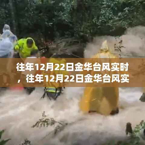 往年12月22日金华台风深度测评与实时介绍