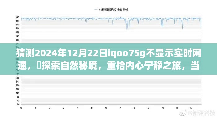 iQOO 7 5G网速隐匿山水间，探索自然秘境，重拾内心宁静之旅
