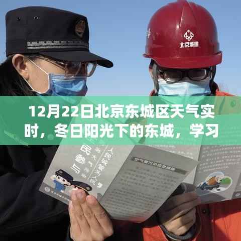 越鸟南栖 第2页