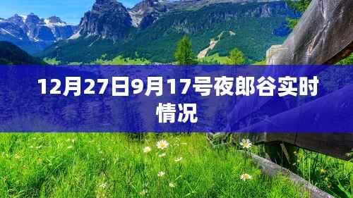 夜郎谷实时情况报道,最新动态观察