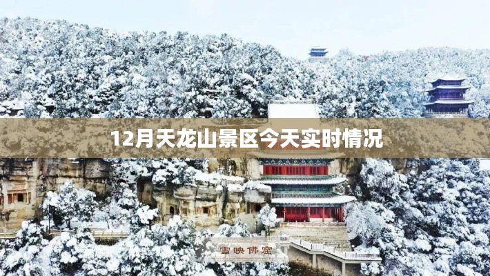 天龙山景区今日实时概况