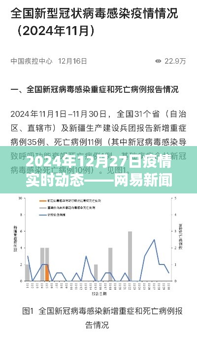 网易新闻实时报道，疫情动态更新