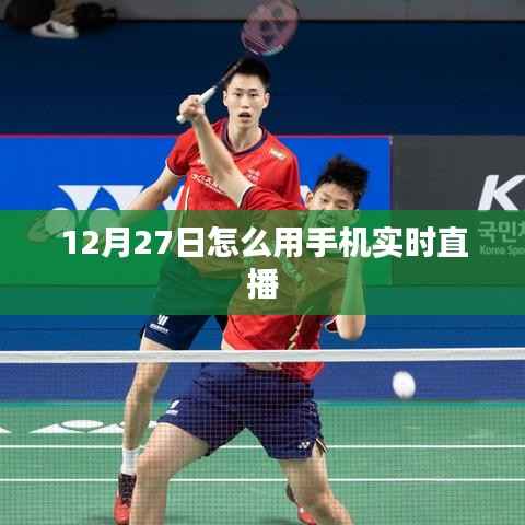 12月27日手机直播教程,实时直播轻松上手