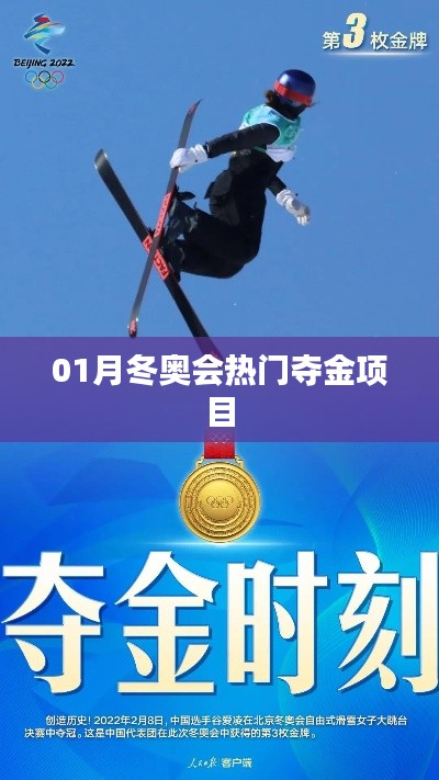冬奥会热门夺金项目解析