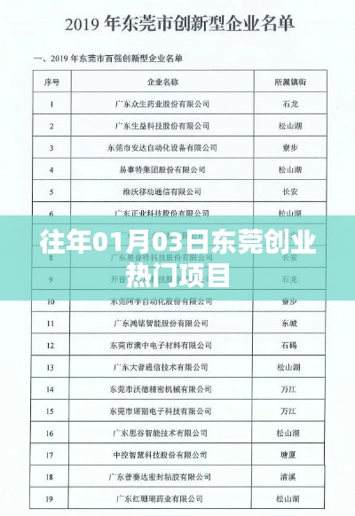 东莞创业热门项目揭秘,历年一月份最新趋势