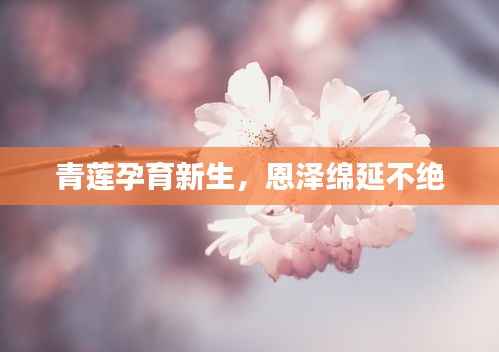 黑天摸地 第4页