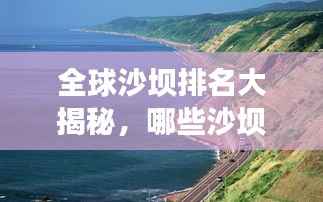 粗枝大叶 第3页