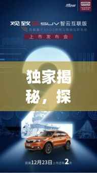 独家揭秘，探索你的个性魅力之旅，专属简介引领独特体验