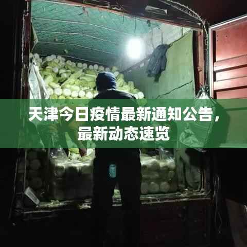 天津今日疫情最新通知公告，最新动态速览